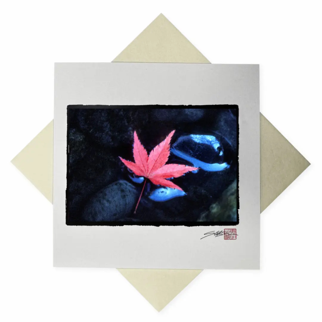 Carte Momiji