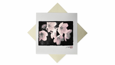 Carte Sakura