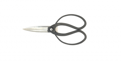 Ciseaux Okubo T-5