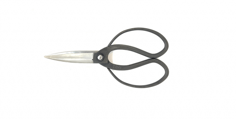 Ciseaux Okubo T-5