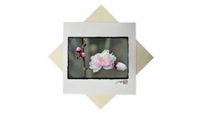 Carte Ume No Hana